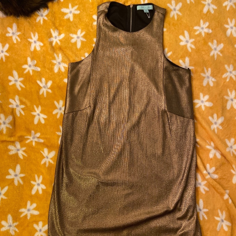 Bronze Shift Dress